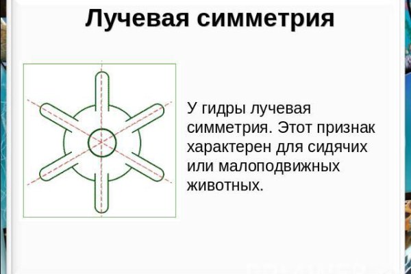 Что такое кракен плейс