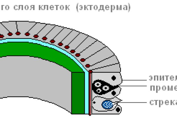 Kraken clear ссылка