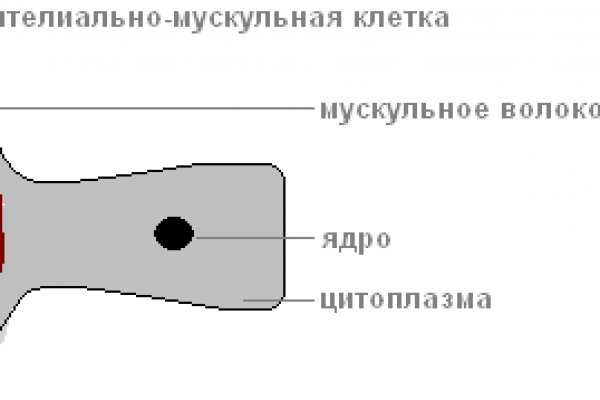 Модератор на кракене