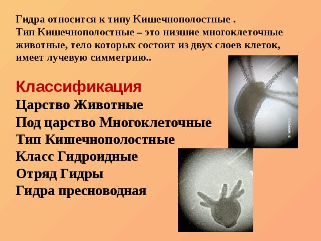 Кракен настоящий сайт